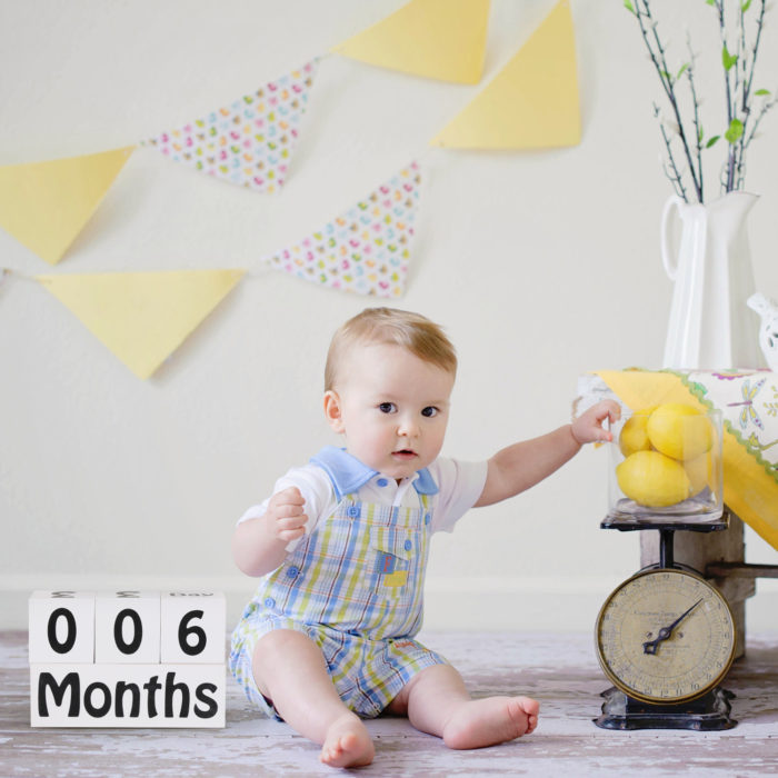 baby month blocks (4)